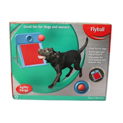 Agility Flyball