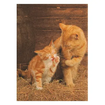 Creative Toy Company Cork Puzzles Ginger Cats Piece Puzzle