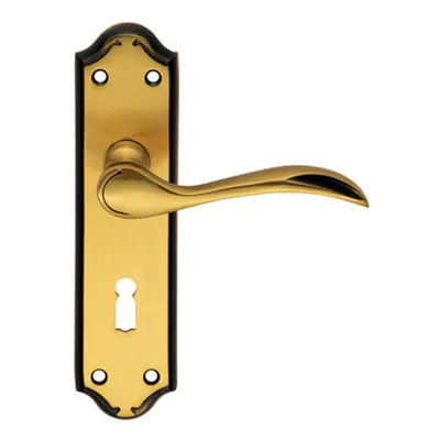 PAIR Curved Door Handle Lever on Lock Backplate x 45mm Florentine Bronze