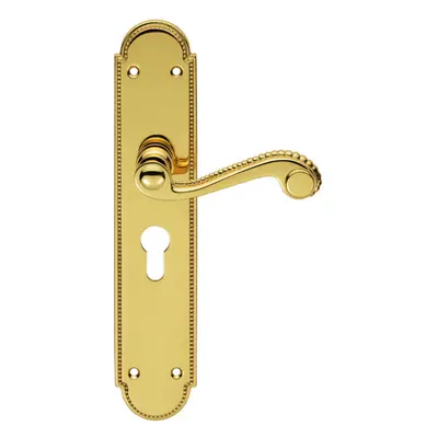 PAIR Beaded Pattern Handle on Euro Lock Backplate x 50mm Polished Brass