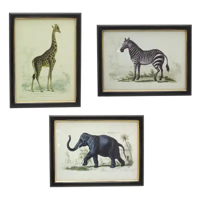 Set Of Jungle Safari Animal Pictures For Walls | Piece Zebra Elephant Giraffe Wall Art Framed An