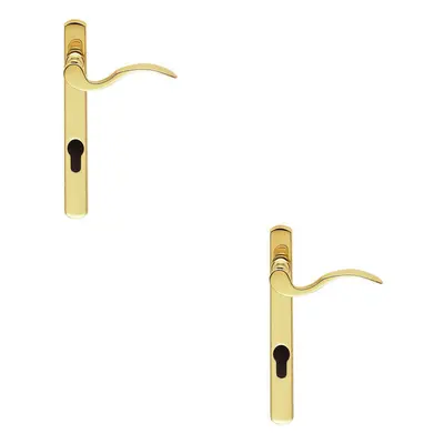 2x Scroll Lever Door Handle on Lock Backplate Polished Brass 208mm X 25mm