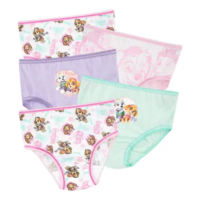 Paw Patrol Girls' Skye and Everest Underwear Size Multicolored