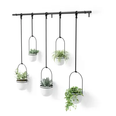 Umbra Triflora Hanging Planter for Window Indoor Herb Garden Set of WhiteBlack