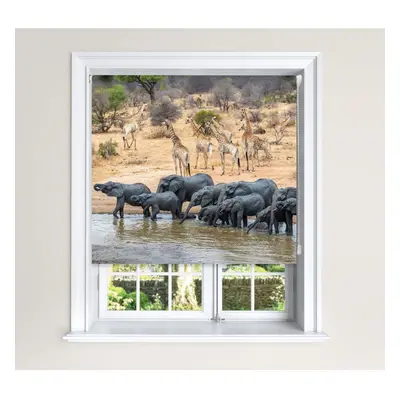 (150 cm Width x cm Drop) Lister Cartwright Blackout Roller Blind Elephant & Giraffe Water Hole B