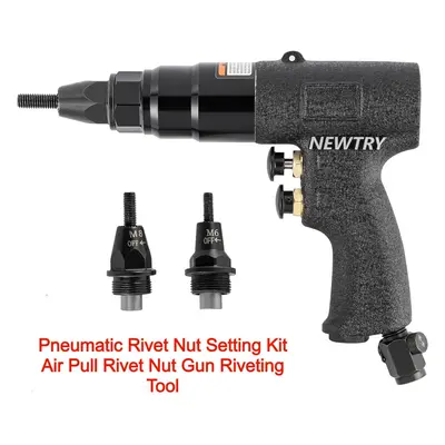 RigWig Pneumatic Rivet Nut Gun Tool, 1/4, 5/16 inch (M6 M8) Heavy Duty Adjustable Speed Air Rive