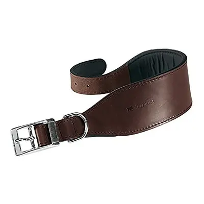 Genuine Leather Dog Collar VIP, Adjustable Dog Lead for Whippets, Neck: cm Brown