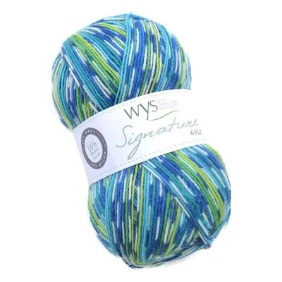 WYS Bluefaced Leicester Wool/Sock Wool self pattern with Signature 4ply Sock Yarn 100g | Peacock