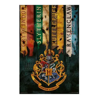 Harry Potter Poster (House Flags)