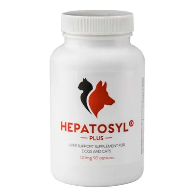 Hepatosyl Plus Liver Support Supplement For Cats & Dogs 100mg Pack