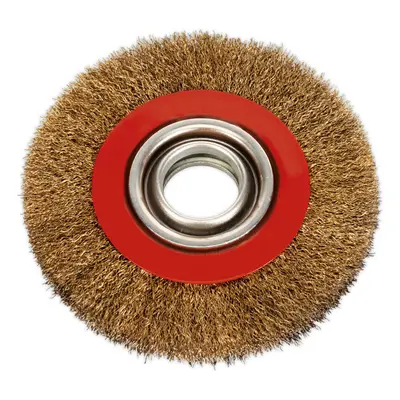 150 x 20mm Wire Brush Wheel - Brass Coated Steel - 32mm Bore - Bench Grinding