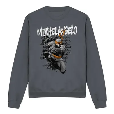 (S, Charcoal) Teenage Mutant Ninja Turtles Unisex Adult Michelangelo Sweatshirt