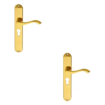 2x PAIR Curved Lever on Long Slim Euro Lock Backplate x 40mm Polished Brass