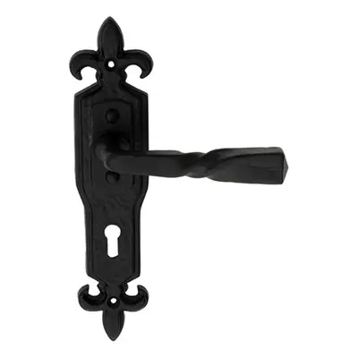 PAIR Forged Twisted Ornate Lever on Lock Backplate x 50mm Black Antique