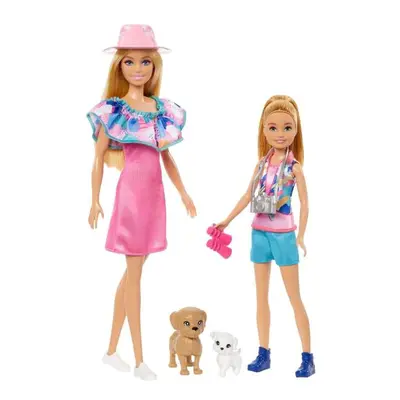 Barbie Dolls Stacie & Barbie HRM09 p4 MATTEL