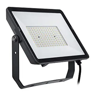 Projectline LED Floodlight [100 Watts 3000K White] for Outdoor Commercial Lighting