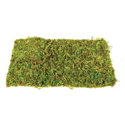 Large Natural Moss Mat for Reptiles - Count