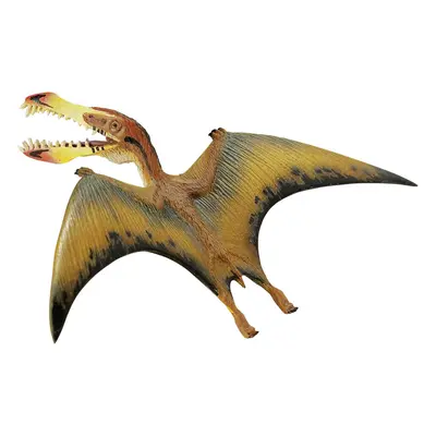 Pterosaurs