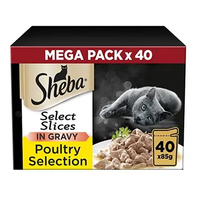 Sheba Select Slices Poultry Collection in Gravy Pouches, Adult Wet Cat Food, Megapack (40 x g)