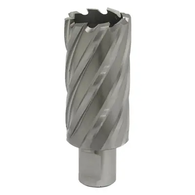 32mm x 50mm Depth Rotabor Cutter - M2 Steel Annular Metal Core Drill 19mm Shank