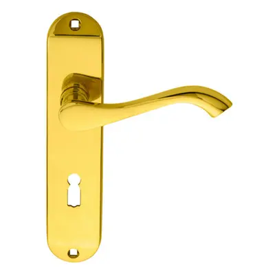 PAIR Curved Handle on Chamfered Lock Backplate x 40mm Polished Brass