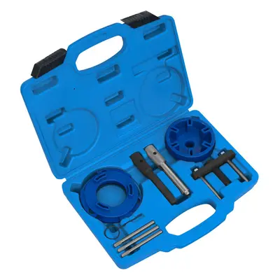 Timing Tool & Fuel Injection Pump Kit - For Ford Citroen Peugeot Chain Drive