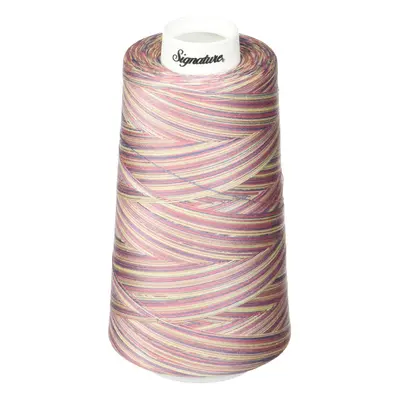 Signature Thread 40wt/3000 yd Variegated Victorian