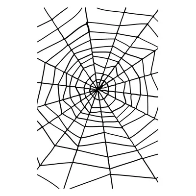 Smiffys Spider Web with Spider - Large