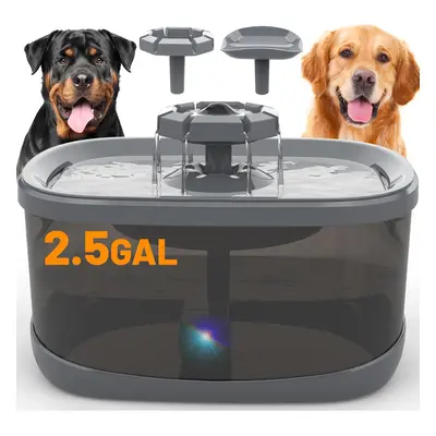 2.5GAL/9.5L Dog Water Fountain for Large Dogs, Flow Modes Large Pet Water Fountain for Cats