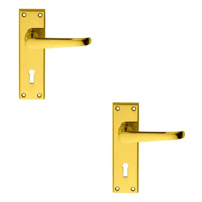 2x PAIR Straight Victorian Handle on Lock Backplate x 42mm Polished Brass