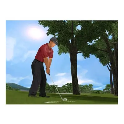 Tiger Woods PGA Tour Classic (PC)