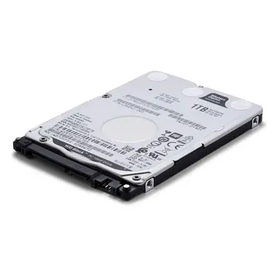 1TB SATA 6.0Gb/s HDD