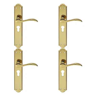 4x PAIR Curved Handle on Long Euro Lock Backplate x 45mm Stainless Brass