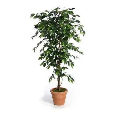 (Green, 210cm) Artificial Silk Fat Ficus Tree