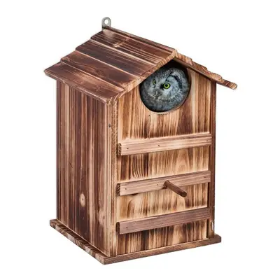 Owls Nest Box Wood