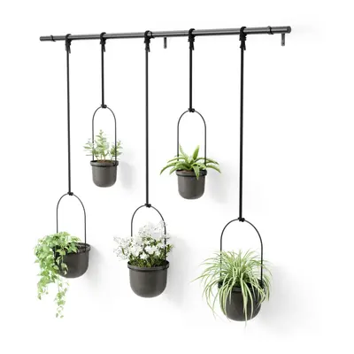 Umbra Triflora Hanging Planter for Window Indoor Herb Garden Set of Black