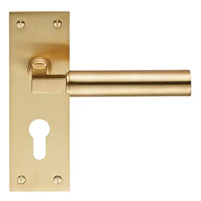 PAIR Round Bar Handle on Slim Euro Lock Backplate x 50mm Satin Brass