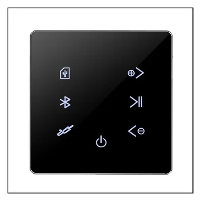 Bluetooth Amplifier in Wall USB SD Card Music Panel Smart Home-Black