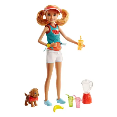 Barbie Stacie Doll Playset with Juice & Puppy