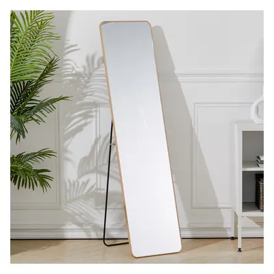 (Gold) Modern Rectangular Metal Floor Mirror