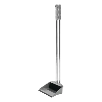 Long Handle Dustpan & Broom Metallic, Silver