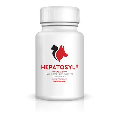 Hepatosyl Plus Liver Support Supplement For Cats & Dogs 50mg Pack