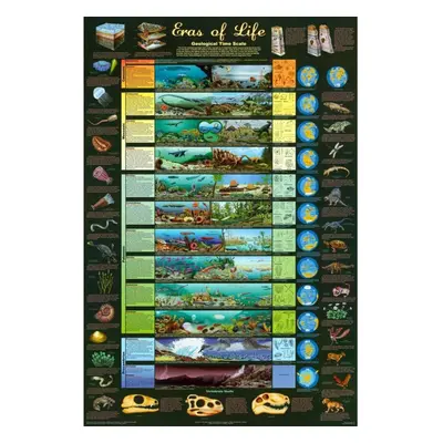 Eras of Life Geological Time Scale Educational Science Chart Poster x