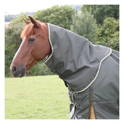 (M, Green) Highlander Plus Combo Neck Horse Turnout Rug & Neck Cover