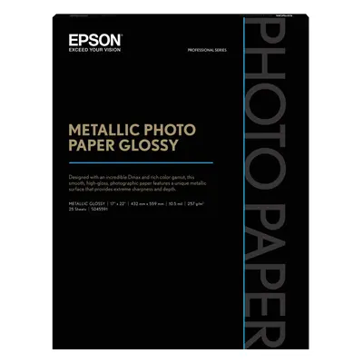 Epson Photo Paper - For Inkjet Print - X - Metallic Glossy - Sheet