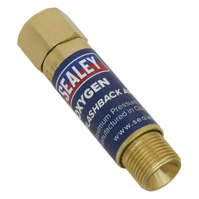 Oxygen Flash Back Arrestor - Auto Resetting - Flashback Protection - EN