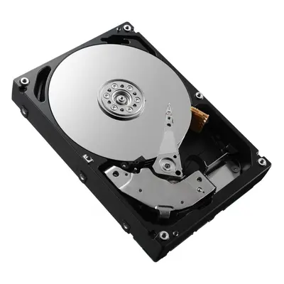 300GB 15K RPM 2.5" SAS