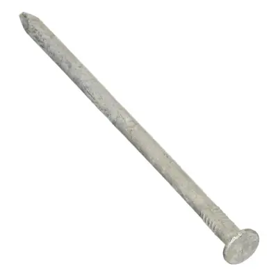 NATIONAL NAIL 5-Pound 20D Galvanized Commercial Nail