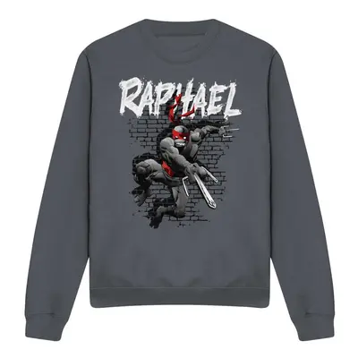 (S, Charcoal) Teenage Mutant Ninja Turtles Unisex Adult Raphael Sweatshirt