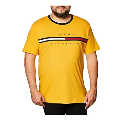 Tommy Hilfiger Mens Short Sleeve Signature Stripe graphic T-Shirt gol